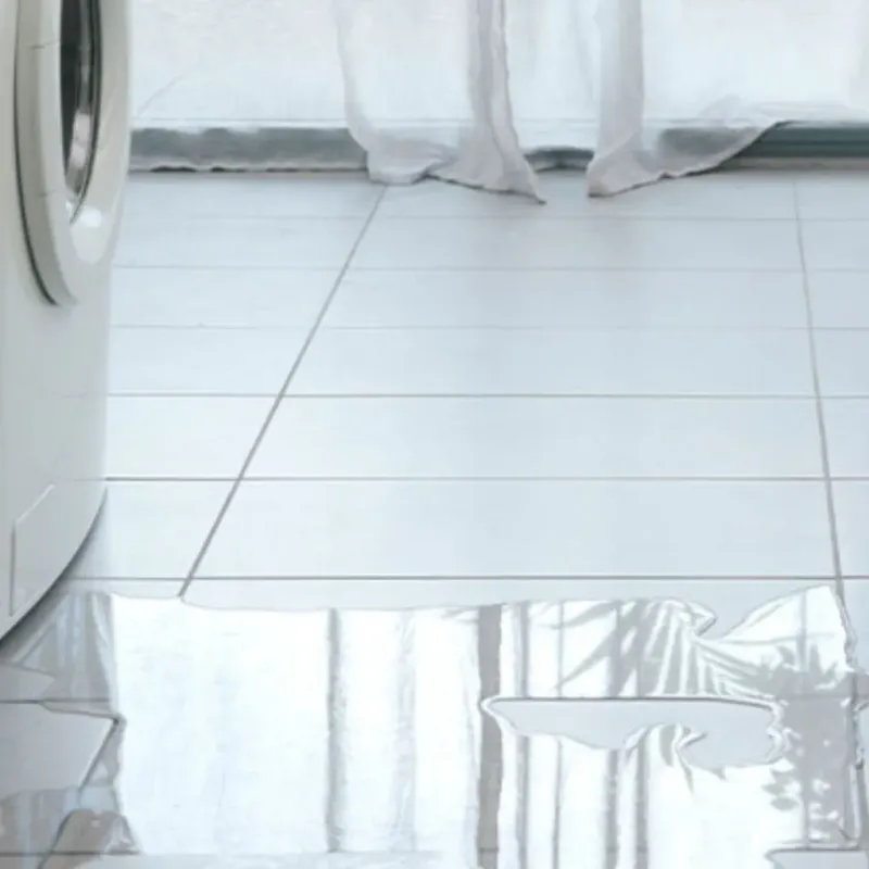 Appliance Leak Cleanup in Leicester, MA