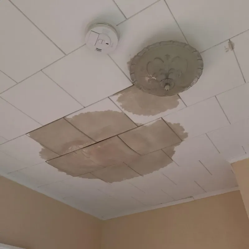 Ceiling Water Damage Repair in Leicester, MA